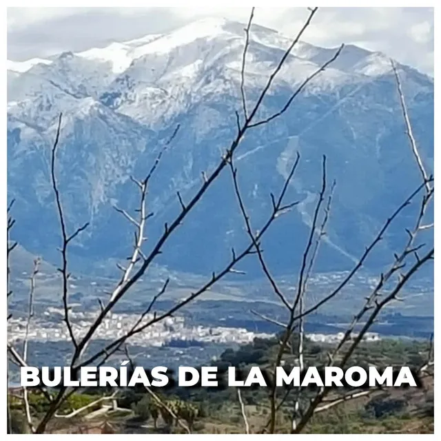 Bulerías de la Maroma