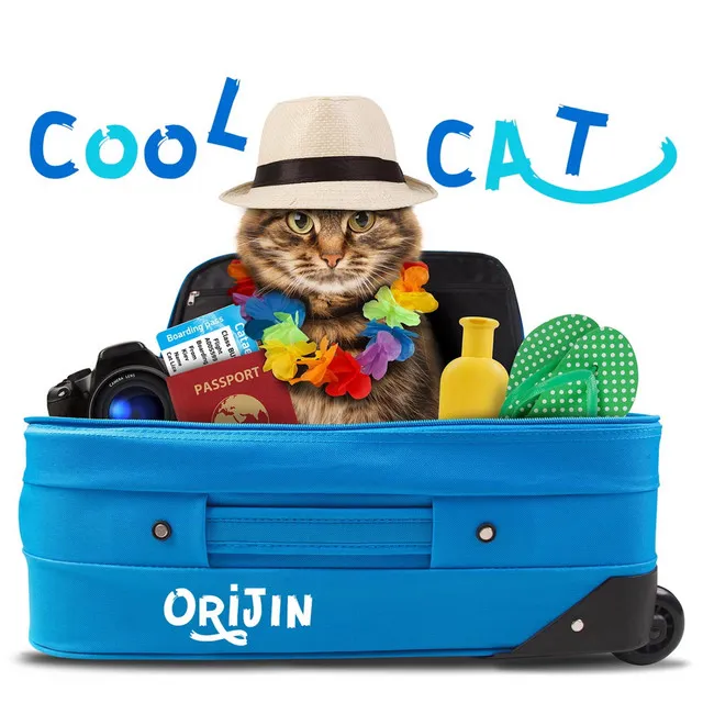 Cool Cat