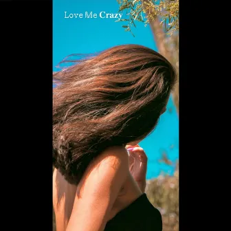 Love Me Crazy by 