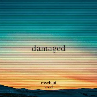 Damaged by Rosebud