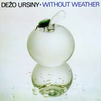 Without Weather by Dezo Ursiny