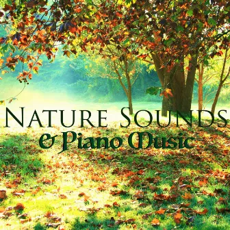 Nature Sounds & Piano Music - Relaxing Meditation Music with Sound of Nature by Frank Piano