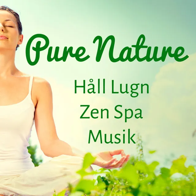 Pure Nature - Håll Lugn Zen Spa Musik för Öka Hjärnkapacitet Vägledd Meditation och Andlig Träning