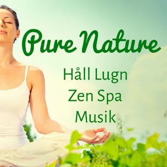 Pure Nature - Håll Lugn Zen Spa Musik för Öka Hjärnkapacitet Vägledd Meditation och Andlig Träning by Unknown Artist