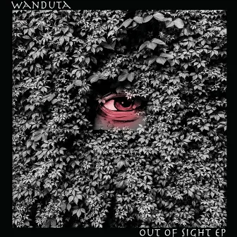 Out of Sight by Wanduta