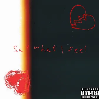 Say What I Feel by Belo Ortiz