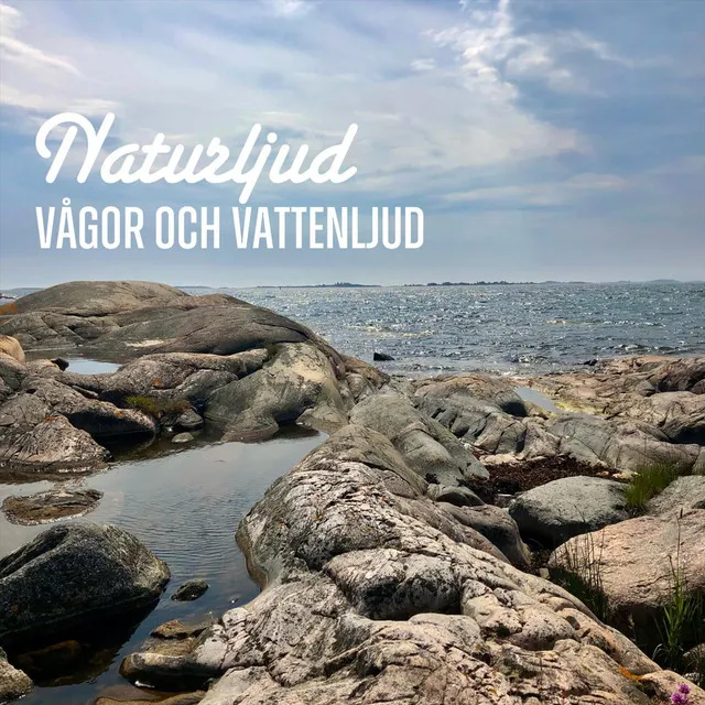 Vågor och vattenljud