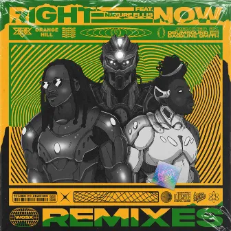 Right Now (Remixes) by Defectiøn