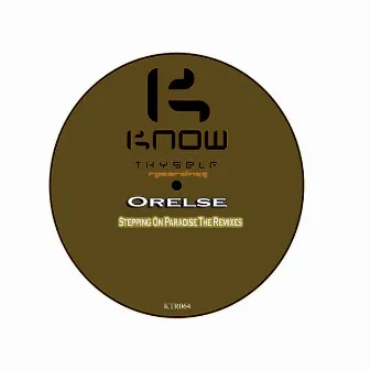 Stepping On Paradise The Remixes by Orelse