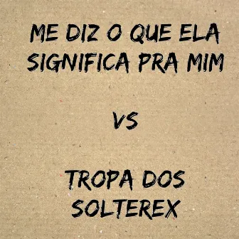 Me Diz o Que Ela Significa pra Mim Vs Tropa dos Solterex by DJ Polyvox