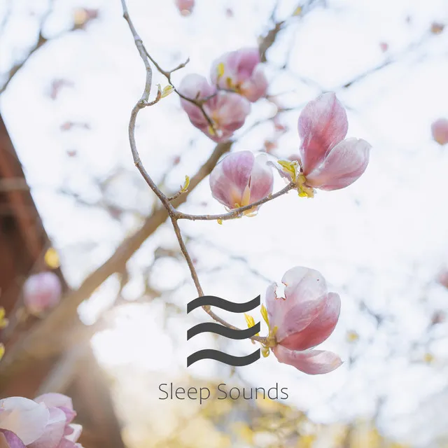 Composed Sleep Pink Noise