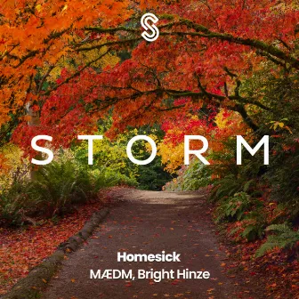 Homesick by Bright Hinze