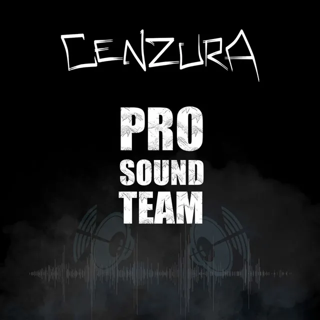 Pro Sound Team - 27-29Hz