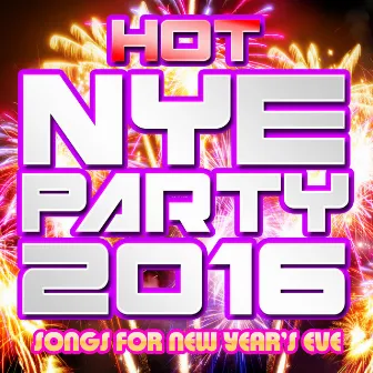 Hot NYE Party 2016 - Songs for New Year's Eve by Wild Stylerz