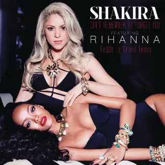 Can't Remember to Forget You (feat. Rihanna) [Fedde Le Grand Remix] by Shakira