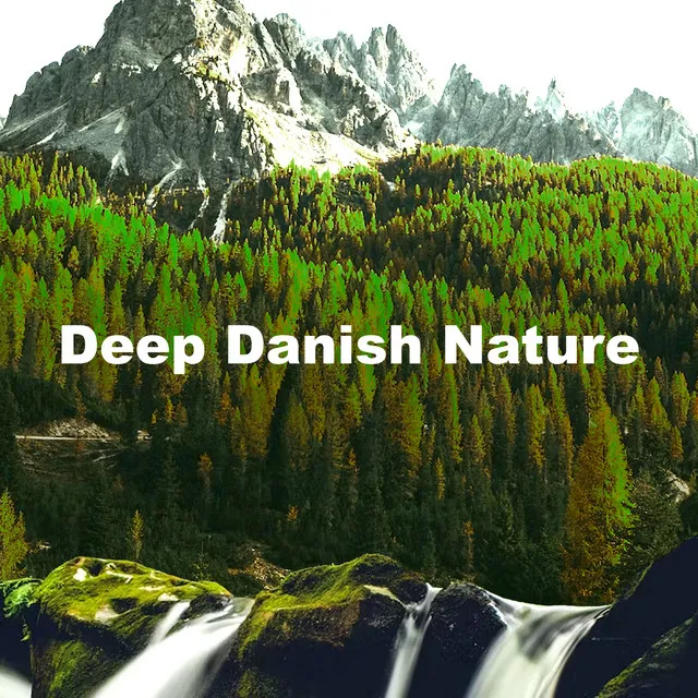 Deep Danish Nature