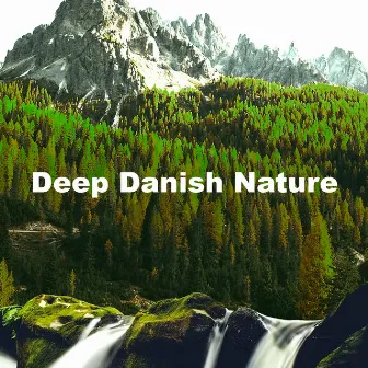 Deep Danish Nature by The Sound of Danish Nature