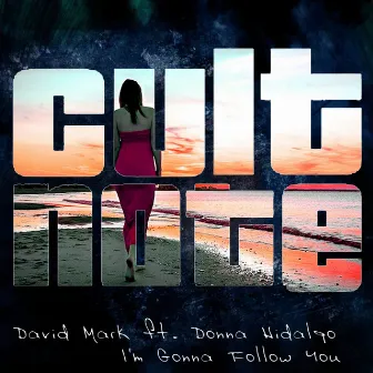 I'm Gonna Follow You by David Mark