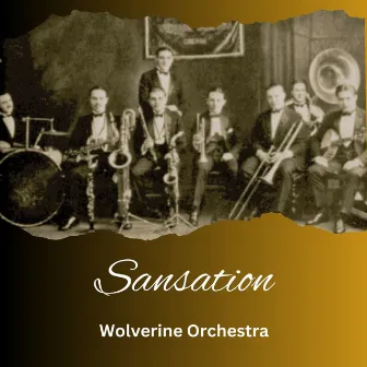 Sensation by Wolverine Orchestra