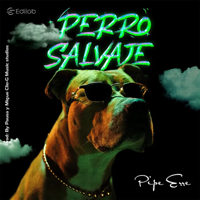 Perro Salvaje