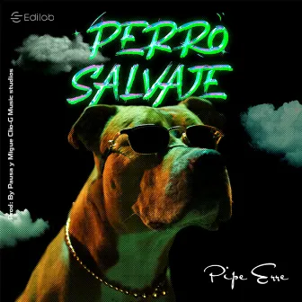 Perro Salvaje by Pipe Erre