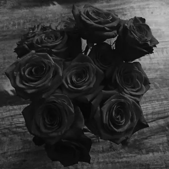 Black Roses by BoneSoFly