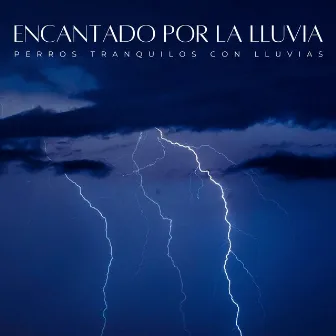 Encantado Por La Lluvia: Perros Tranquilos Con Lluvias by Música para los oídos de los perros