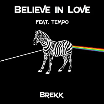 Believe in Love (feat. Tempo) by Brekk