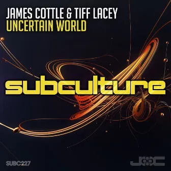 Uncertain World by James Cottle