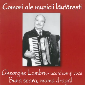 Bună seara, mamă dragă! by Gheorghe Lambru