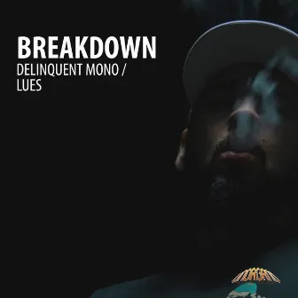 Breakdown by Delinquent Mono