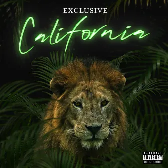 California by EXCLUSIVE