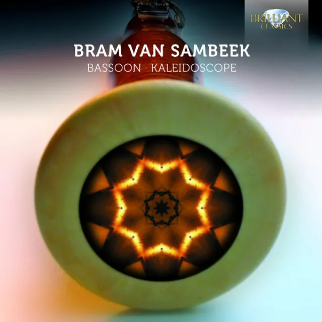 Bram van Sambeek