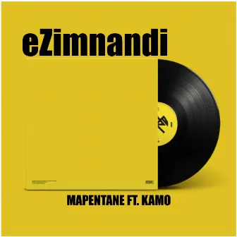 eZimnandi by Mapentane