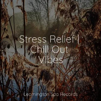 Stress Relief | Chill Out Vibes by Serenity Spa Music Relaxation