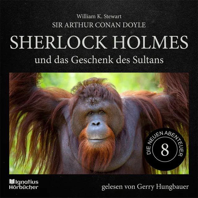 Kapitel 12 - Sherlock Holmes und das Geschenk des Sultans (Die neuen Abenteuer, Folge 8)