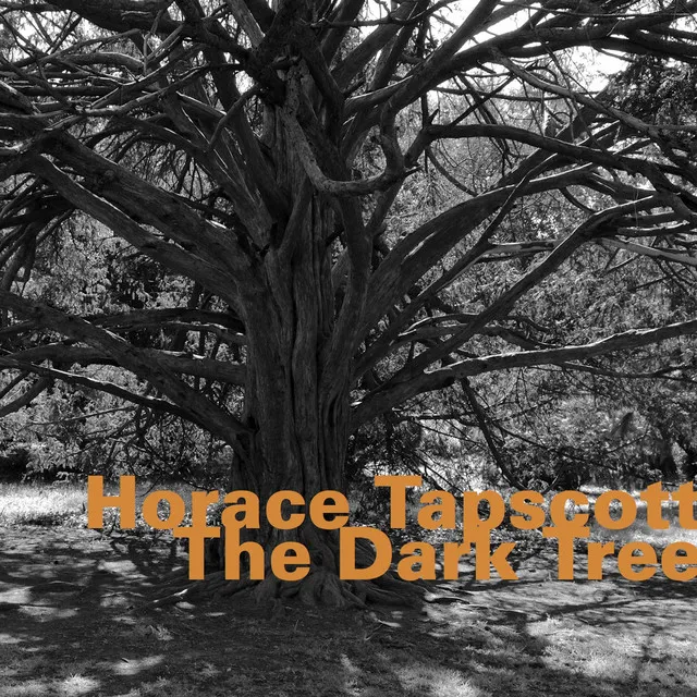 The Dark Tree - Live