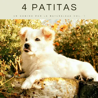 4 Patitas: Un Camino Por La Naturaleza Vol. 1 by Música para tu perro