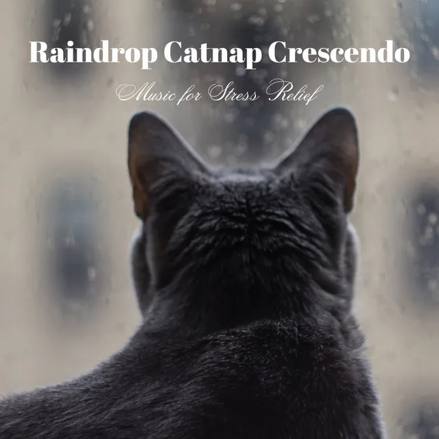 Raindrop Catnap Crescendo: Music for Stress Relief