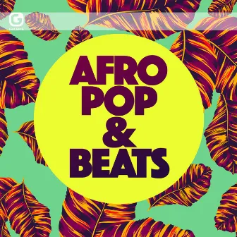 Afro Pop & Beats by Bustafunk