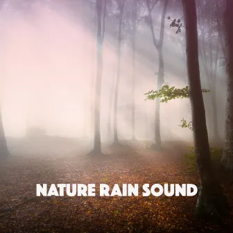 Nature Rain Sound by Nature Sound Sleep