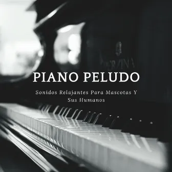 Piano Peludo: Sonidos Relajantes Para Mascotas Y Sus Humanos by Jazz de domingo perezoso