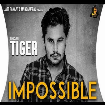 Impossible by Tiger