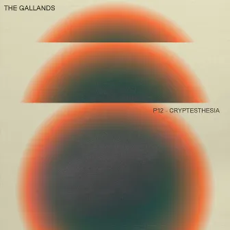 P12- Cryptesthesia by The Gallands