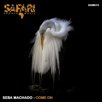 Come On by Seba Machado