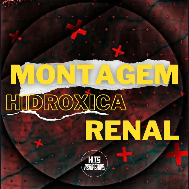 Montagem Hidroxica Renal