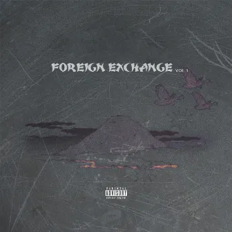 Foreign Exchange, Vol. 1 by Unknown Artist