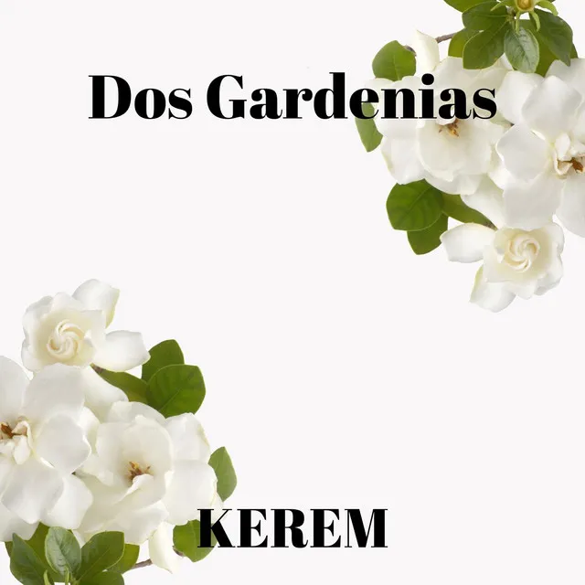 Dos Gardenias