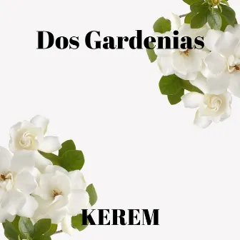 Dos Gardenias by Kerem