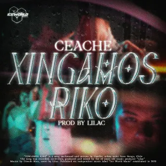 Xingamos Riko by Ceache